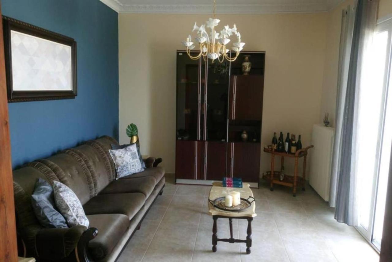 Neochori Nikol΄S Houseアパートメント エクステリア 写真